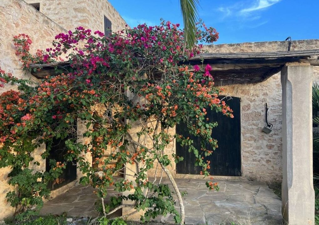 ibizasevenvillas formentera (10)1