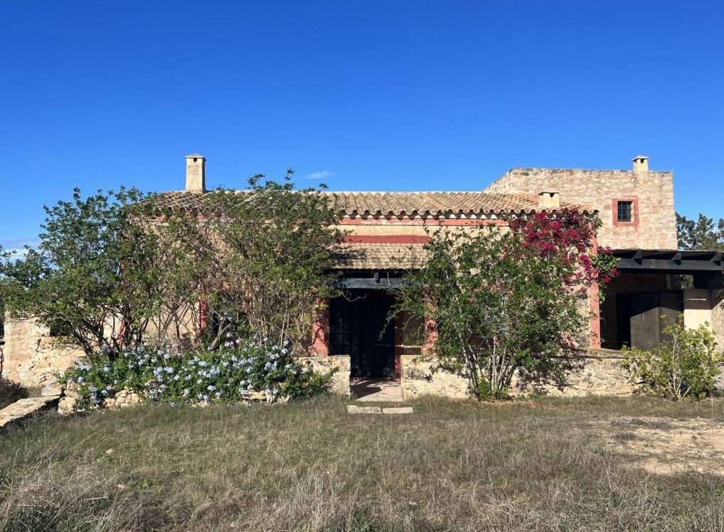 inmobiliaria en ibiza coste