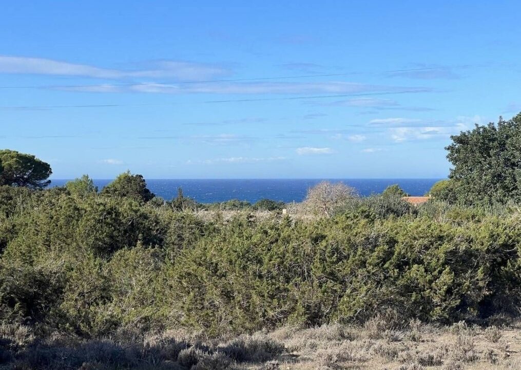 ibizasevenvillas formentera (10)123