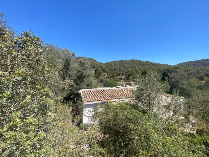 inmobiliaria en ibiza