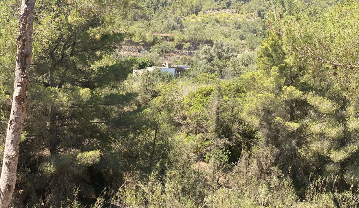 ibizasevenvillas-casa-7